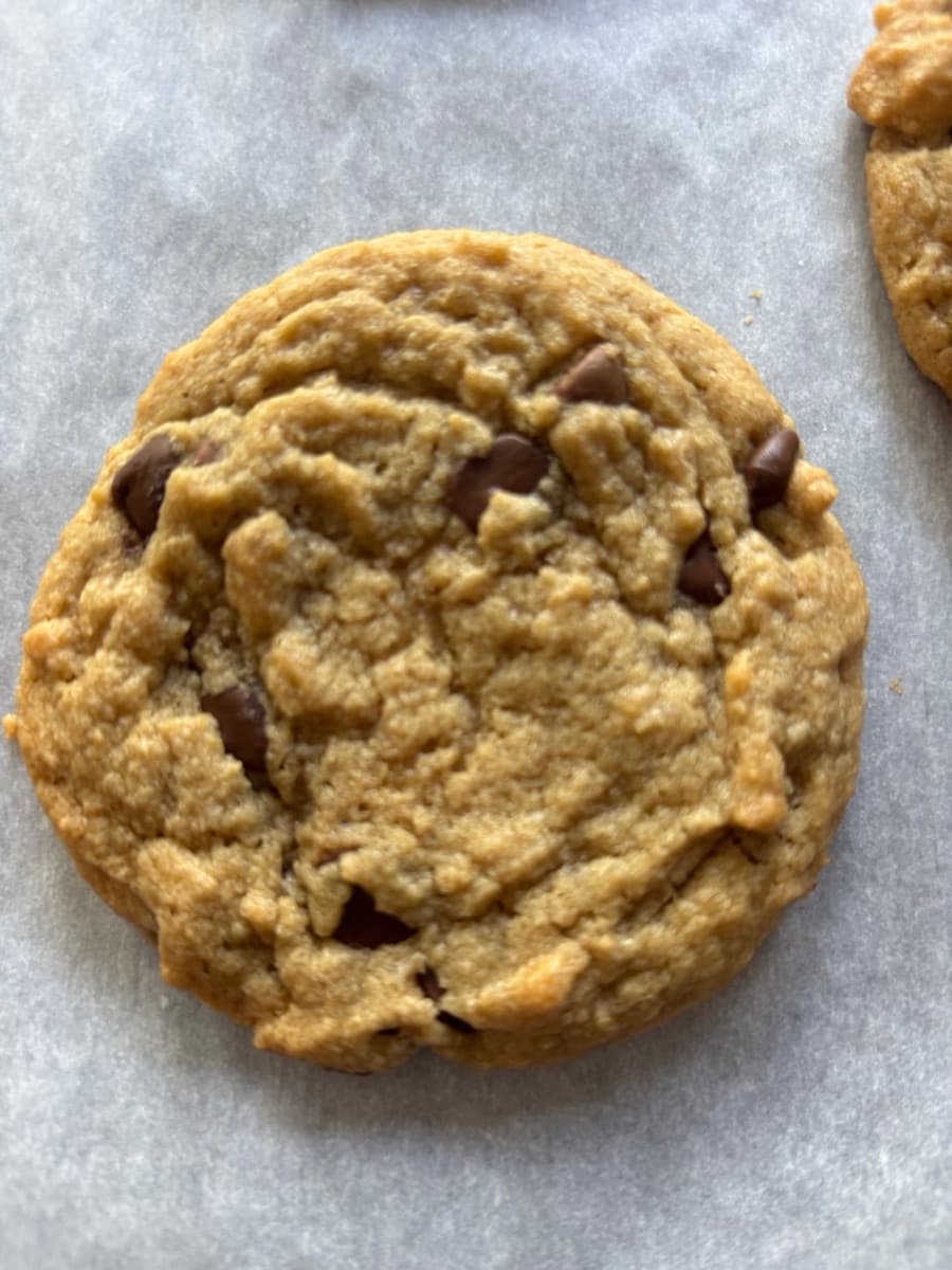 Classic Chocolate Chip Cookie
